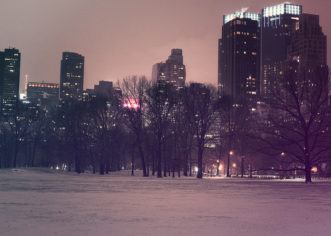 Mob Boss arrested in Florida after shooting